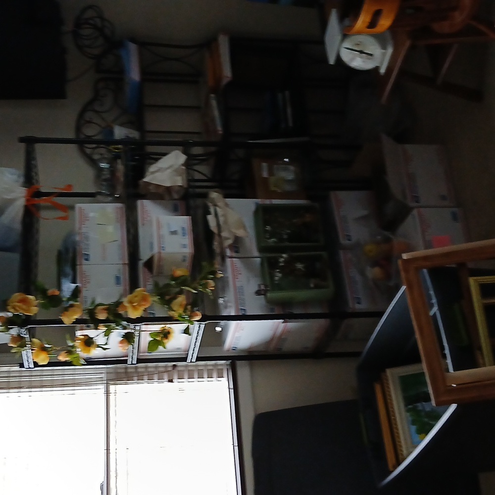 Everything - Picture 4 of 6